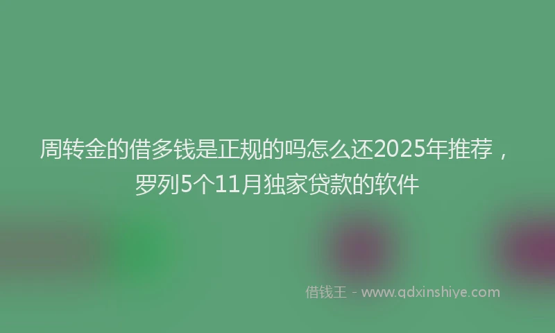 周转金的借多钱是正规的吗怎么还2025年推荐，罗列5个11月独家贷款的软件