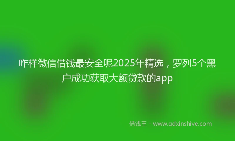 咋样微信借钱最安全呢2025年精选，罗列5个黑户成功获取大额贷款的app