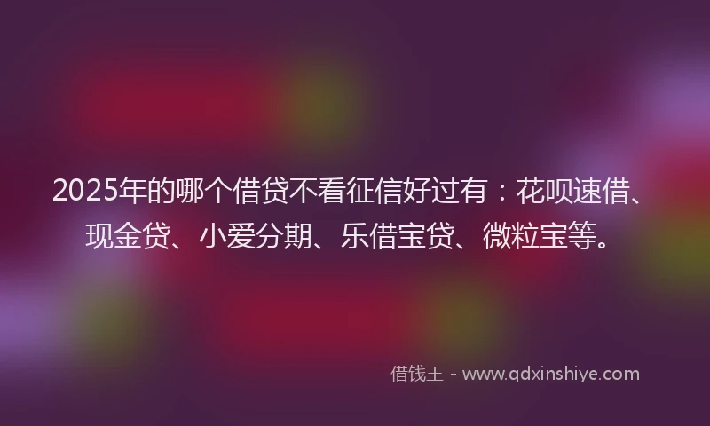 2025年的哪个借贷不看征信好过有：花呗速借、现金贷、小爱分期、乐借宝贷、微粒宝等。