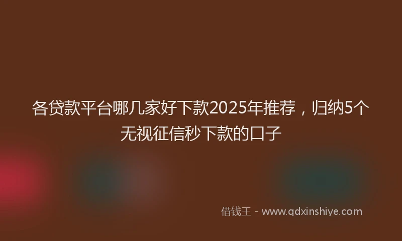 各贷款平台哪几家好下款2025年推荐，归纳5个无视征信秒下款的口子
