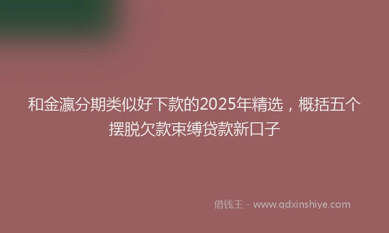 和金瀛分期类似好下款的2025年精选，概括五个摆脱欠款束缚贷款新口子