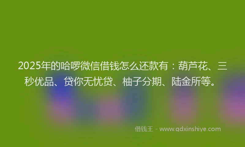 2025年的哈啰微信借钱怎么还款有：葫芦花、三秒优品、贷你无忧贷、柚子分期、陆金所等。