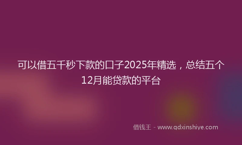 可以借五千秒下款的口子2025年精选，总结五个12月能贷款的平台
