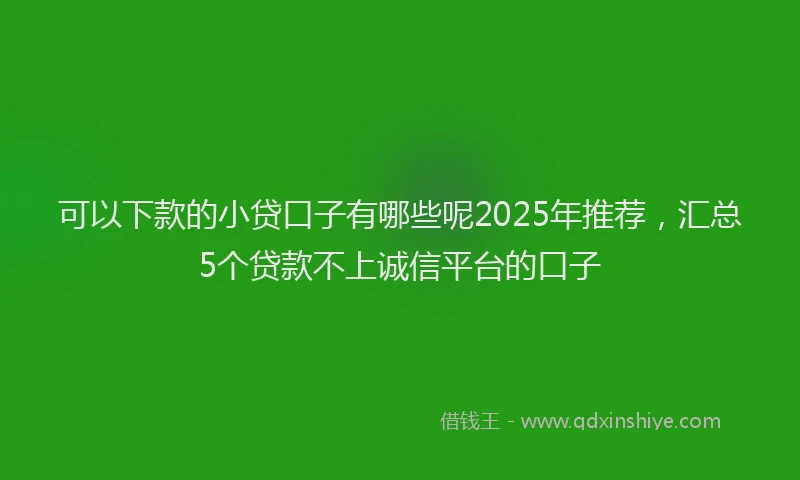可以下款的小贷口子有哪些呢2025年推荐，汇总5个贷款不上诚信平台的口子