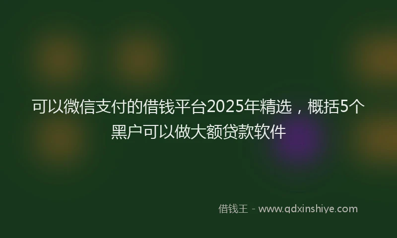 可以微信支付的借钱平台2025年精选，概括5个黑户可以做大额贷款软件
