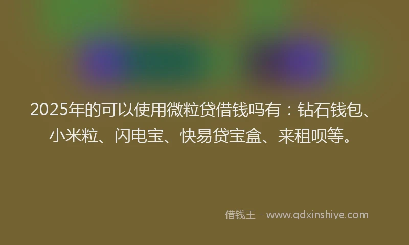 2025年的可以使用微粒贷借钱吗有：钻石钱包、小米粒、闪电宝、快易贷宝盒、来租呗等。