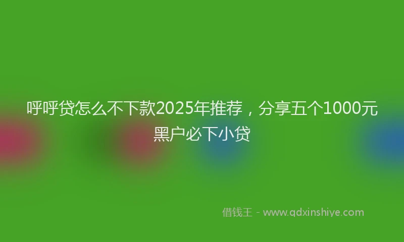 呼呼贷怎么不下款2025年推荐，分享五个1000元黑户必下小贷