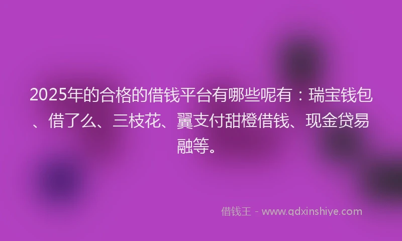 2025年的合格的借钱平台有哪些呢有：瑞宝钱包、借了么、三枝花、翼支付甜橙借钱、现金贷易融等。