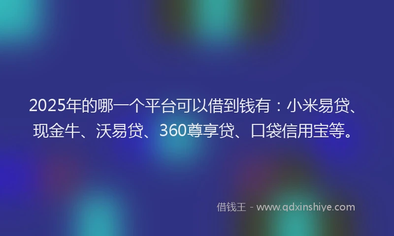 2025年的哪一个平台可以借到钱有：小米易贷、现金牛、沃易贷、360尊享贷、口袋信用宝等。