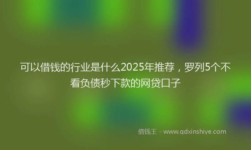 可以借钱的行业是什么2025年推荐，罗列5个不看负债秒下款的网贷口子