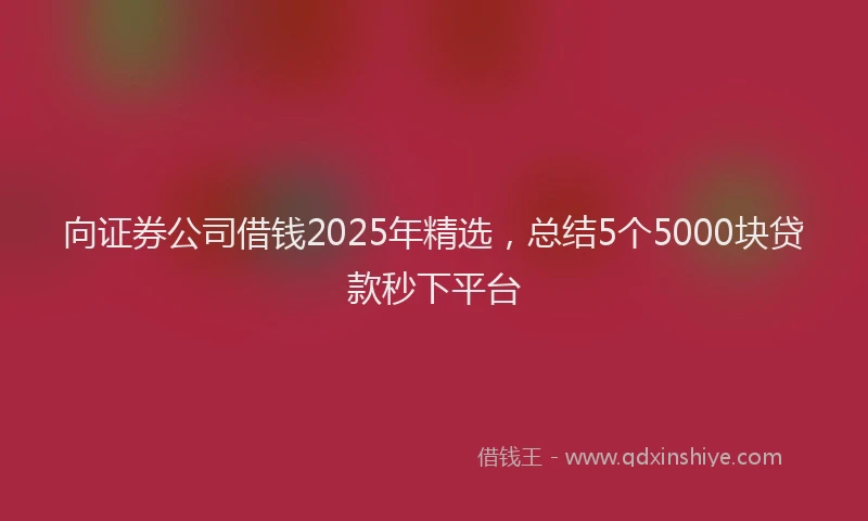 向证券公司借钱2025年精选，总结5个5000块贷款秒下平台