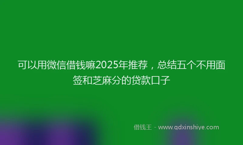 可以用微信借钱嘛2025年推荐，总结五个不用面签和芝麻分的贷款口子