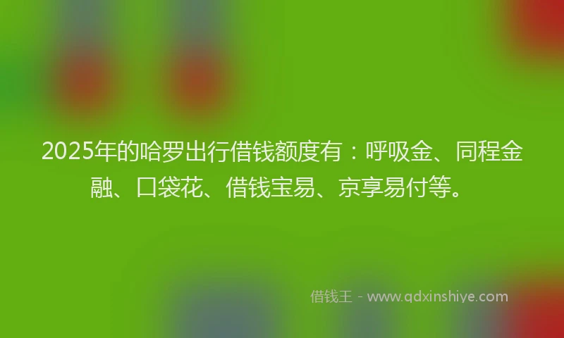 2025年的哈罗出行借钱额度有:呼吸金、同程金融、口袋花、借钱宝易、京享易付等。