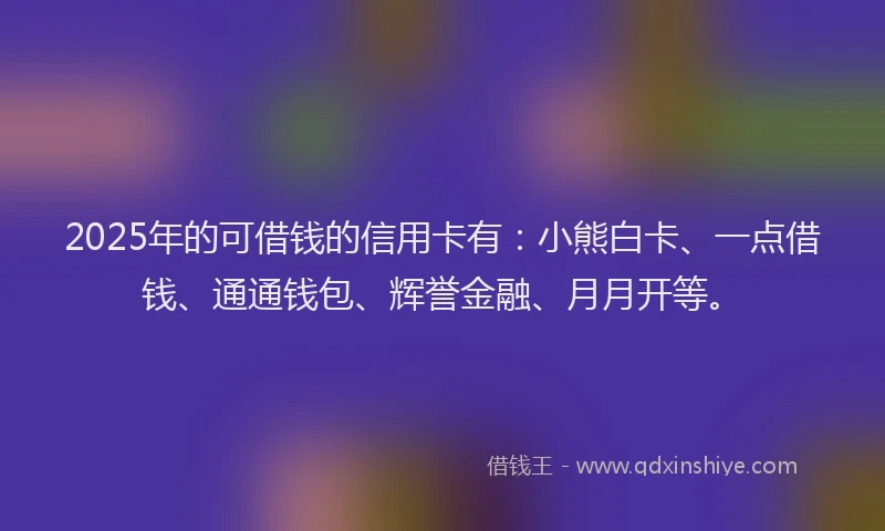 2025年的可借钱的信用卡有：小熊白卡、一点借钱、通通钱包、辉誉金融、月月开等。