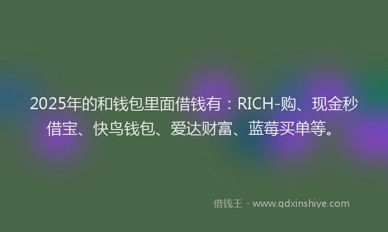 2025年的和钱包里面借钱有：RICH-购、现金秒借宝、快鸟钱包、爱达财富、蓝莓买单等。