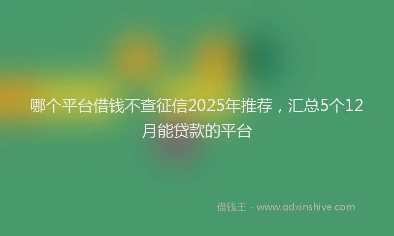 哪个平台借钱不查征信2025年推荐，汇总5个12月能贷款的平台