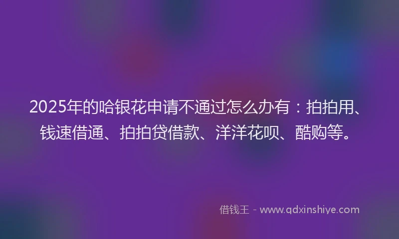 2025年的哈银花申请不通过怎么办有：拍拍用、钱速借通、拍拍贷借款、洋洋花呗、酷购等。