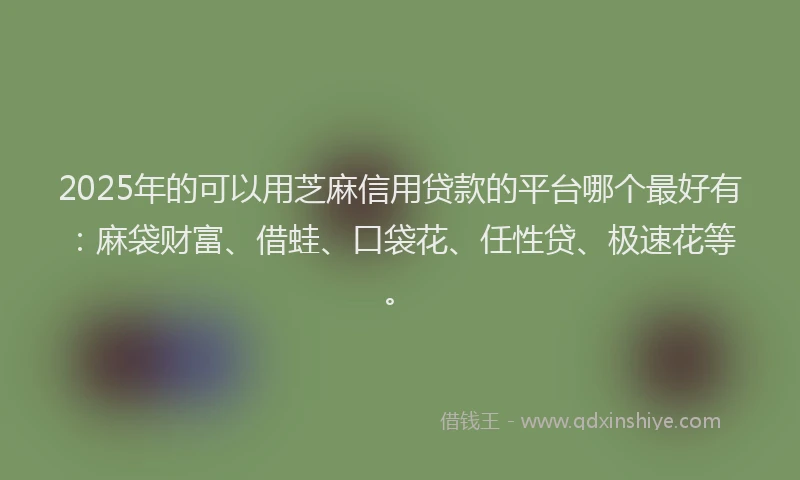 2025年的可以用芝麻信用贷款的平台哪个最好有：麻袋财富、借蛙、口袋花、任性贷、极速花等。