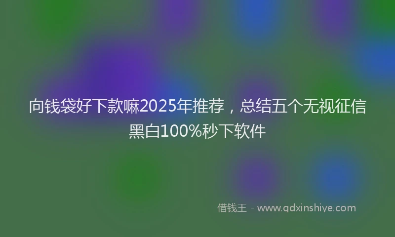 向钱袋好下款嘛2025年推荐，总结五个无视征信黑白100%秒下软件