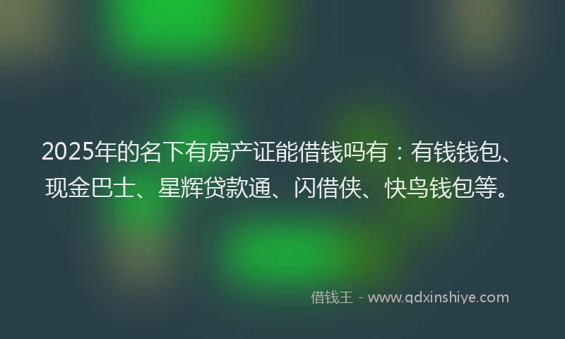 2025年的名下有房产证能借钱吗有：有钱钱包、现金巴士、星辉贷款通、闪借侠、快鸟钱包等。