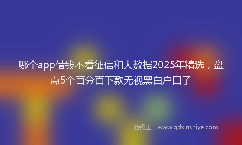 哪个app借钱不看征信和大数据2025年精选，盘点5个百分百下款无视黑白户口子