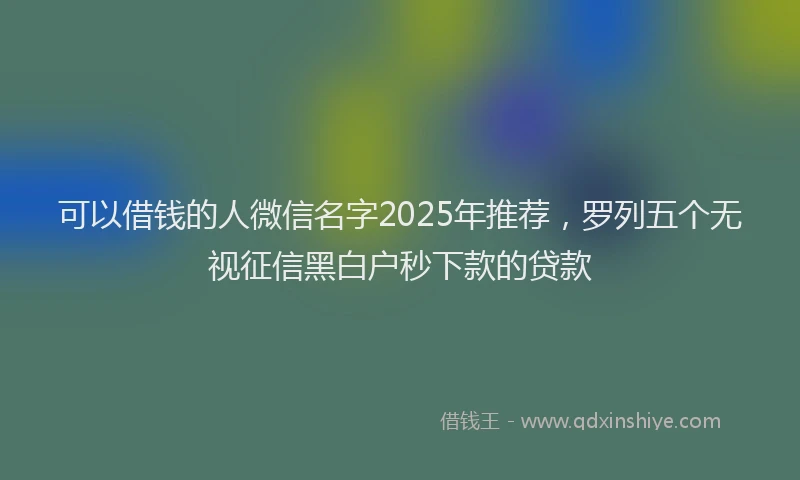 可以借钱的人微信名字2025年推荐，罗列五个无视征信黑白户秒下款的贷款