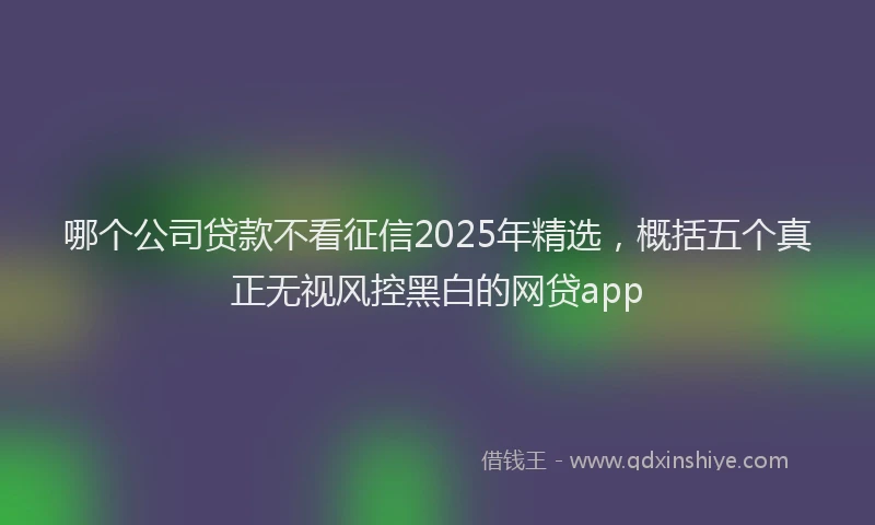 哪个公司贷款不看征信2025年精选，概括五个真正无视风控黑白的网贷app