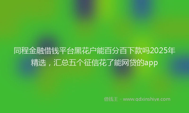 同程金融借钱平台黑花户能百分百下款吗2025年精选，汇总五个征信花了能网贷的app