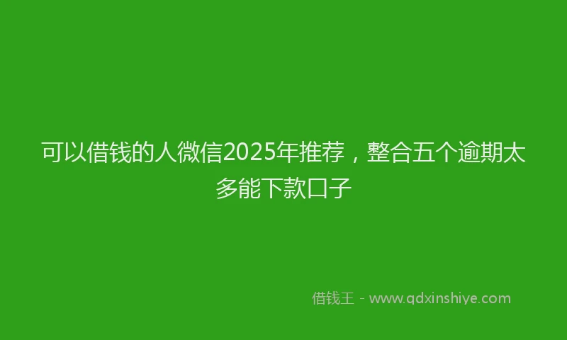 可以借钱的人微信2025年推荐，整合五个逾期太多能下款口子