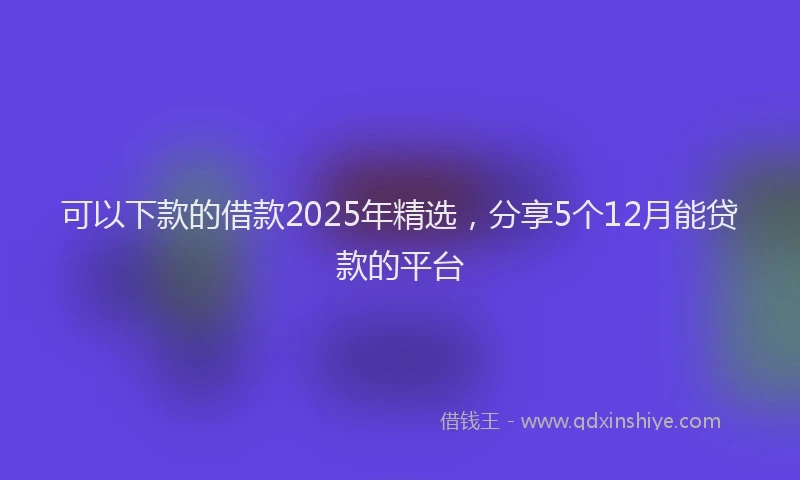 可以下款的借款2025年精选，分享5个12月能贷款的平台