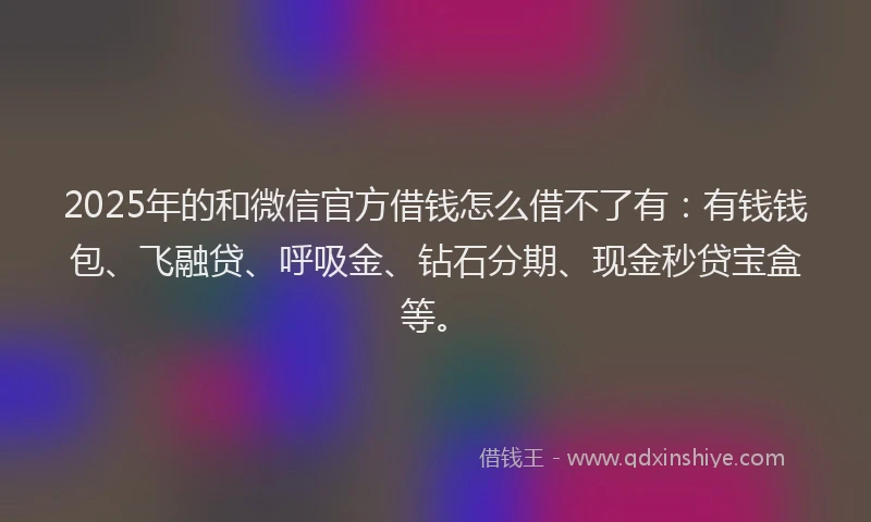 2025年的和微信官方借钱怎么借不了有：有钱钱包、飞融贷、呼吸金、钻石分期、现金秒贷宝盒等。