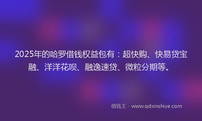 2025年的哈罗借钱权益包有：超快购、快易贷宝融、洋洋花呗、融逸速贷、微粒分期等。
