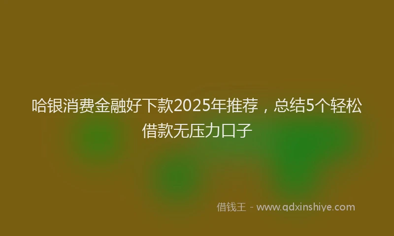 哈银消费金融好下款2025年推荐，总结5个轻松借款无压力口子