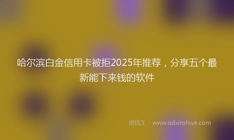 哈尔滨白金信用卡被拒2025年推荐，分享五个最新能下来钱的软件