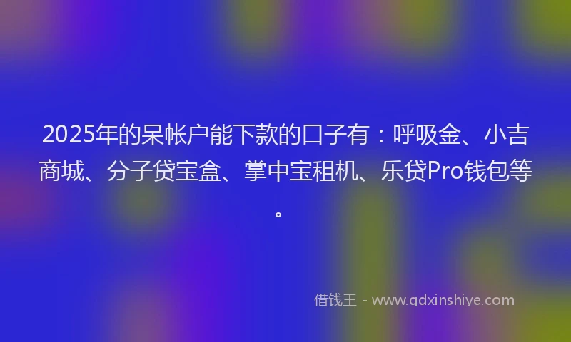 2025年的呆帐户能下款的口子有：呼吸金、小吉商城、分子贷宝盒、掌中宝租机、乐贷Pro钱包等。