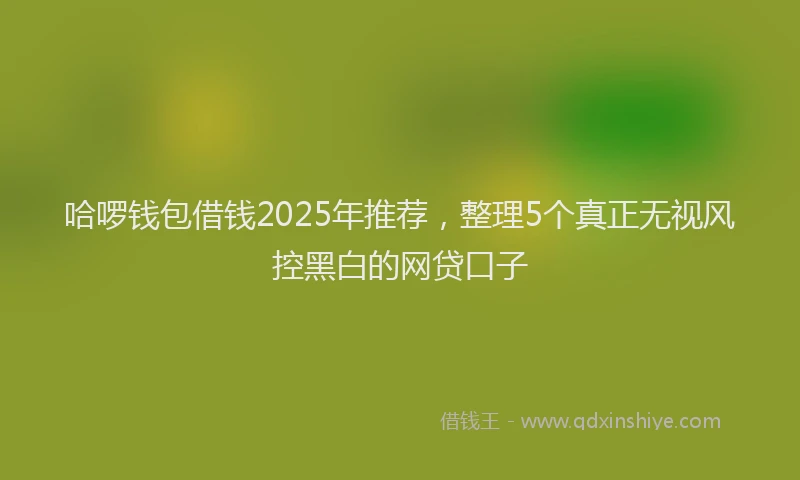 哈啰钱包借钱2025年推荐，整理5个真正无视风控黑白的网贷口子
