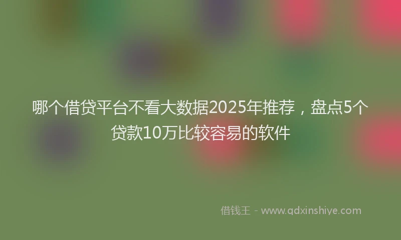 哪个借贷平台不看大数据2025年推荐，盘点5个贷款10万比较容易的软件