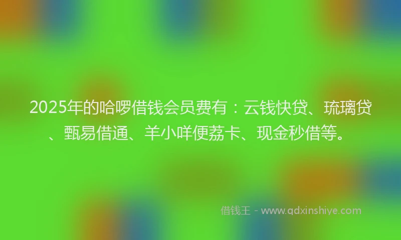 2025年的哈啰借钱会员费有：云钱快贷、琉璃贷、甄易借通、羊小咩便荔卡、现金秒借等。