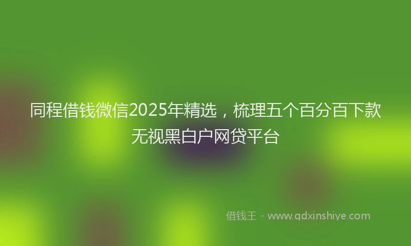 同程借钱微信2025年精选，梳理五个百分百下款无视黑白户网贷平台