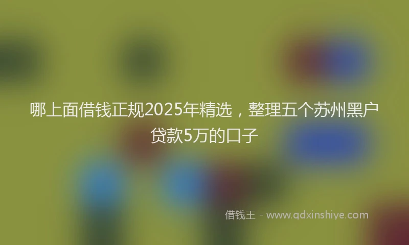 哪上面借钱正规2025年精选，整理五个苏州黑户贷款5万的口子