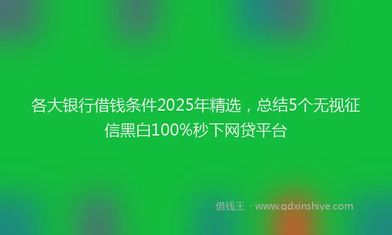 各大银行借钱条件2025年精选，总结5个无视征信黑白100%秒下网贷平台