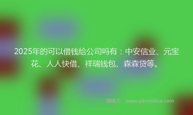 2025年的可以借钱给公司吗有：中安信业、元宝花、人人快借、祥瑞钱包、森森贷等。