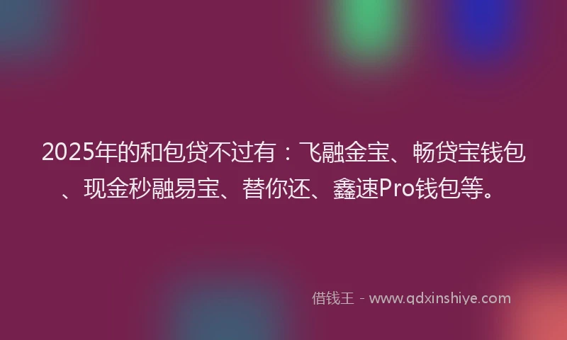 2025年的和包贷不过有：飞融金宝、畅贷宝钱包、现金秒融易宝、替你还、鑫速Pro钱包等。