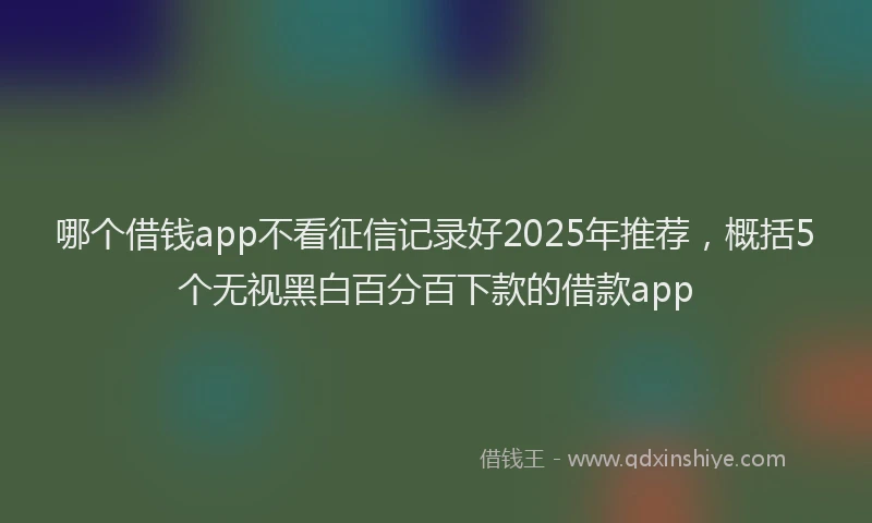 哪个借钱app不看征信记录好2025年推荐，概括5个无视黑白百分百下款的借款app