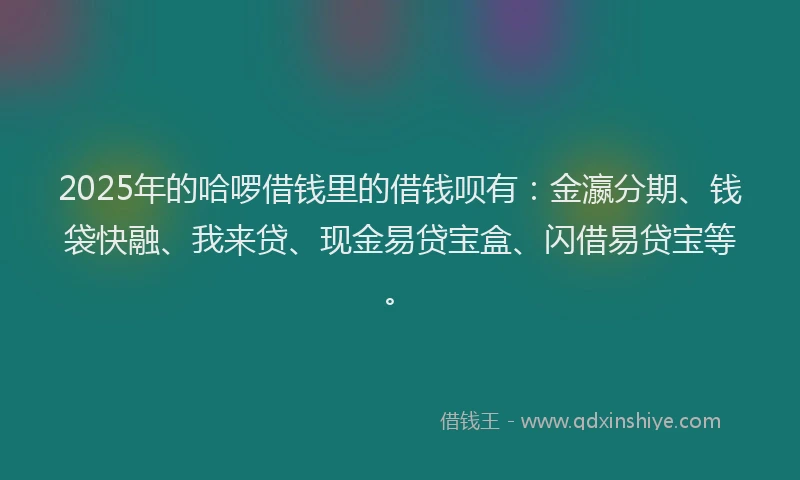2025年的哈啰借钱里的借钱呗有：金瀛分期、钱袋快融、我来贷、现金易贷宝盒、闪借易贷宝等。