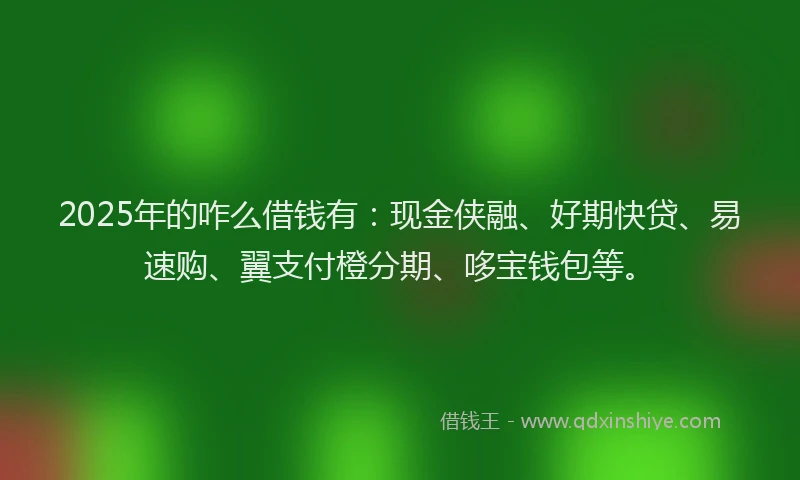 2025年的咋么借钱有：现金侠融、好期快贷、易速购、翼支付橙分期、哆宝钱包等。
