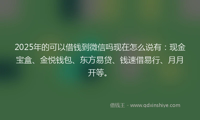 2025年的可以借钱到微信吗现在怎么说有：现金宝盒、金悦钱包、东方易贷、钱速借易行、月月开等。