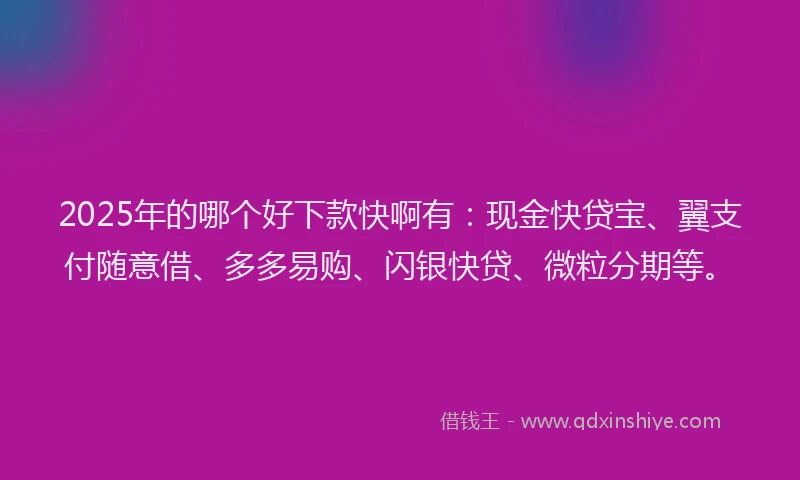 2025年的哪个好下款快啊有：现金快贷宝、翼支付随意借、多多易购、闪银快贷、微粒分期等。