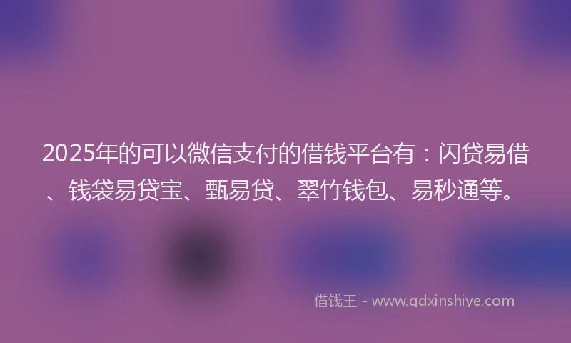 2025年的可以微信支付的借钱平台有：闪贷易借、钱袋易贷宝、甄易贷、翠竹钱包、易秒通等。