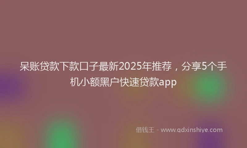 呆账贷款下款口子最新2025年推荐，分享5个手机小额黑户快速贷款app